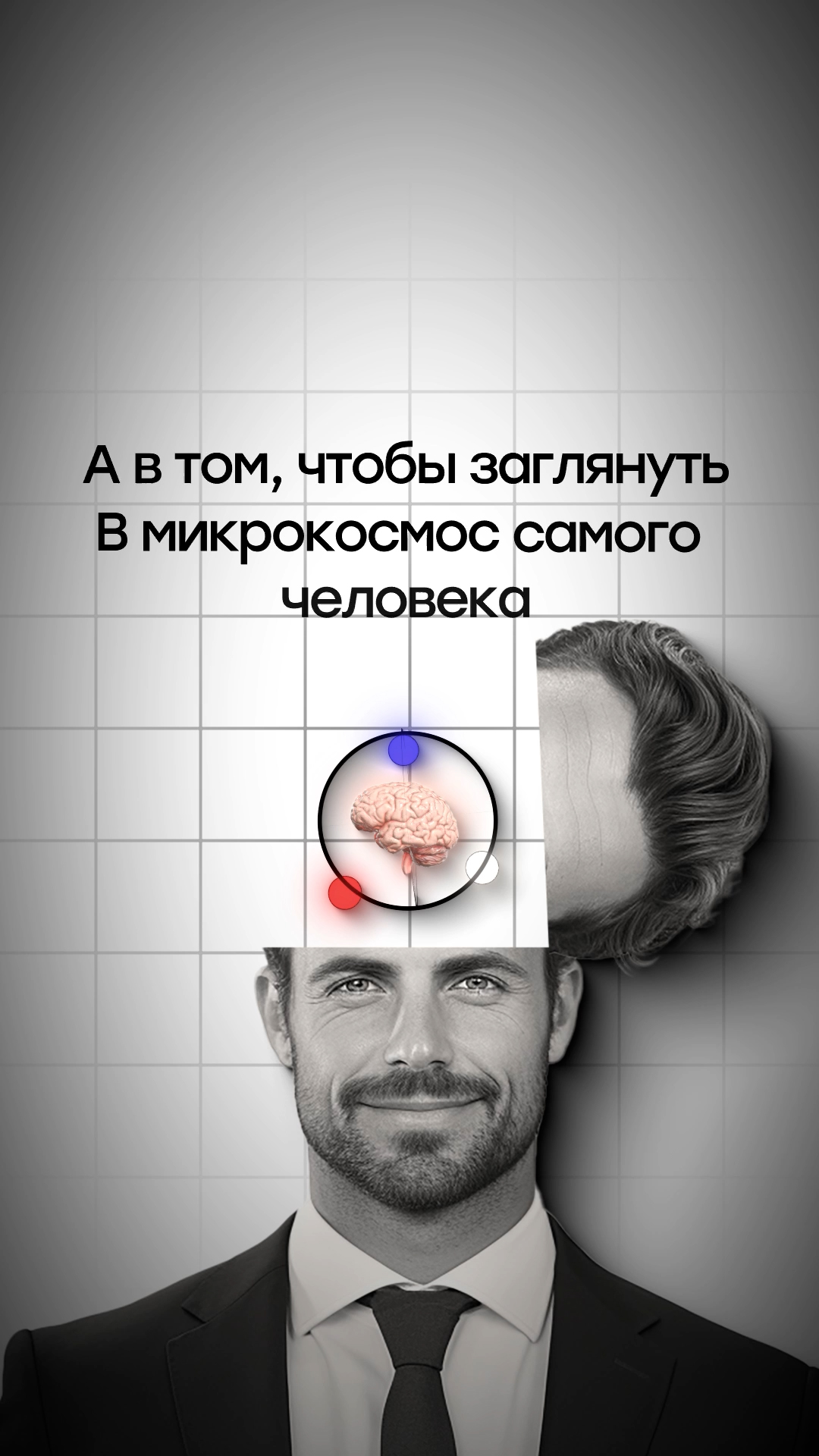 Превью вертикального ролика 3